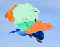 https://www.studiodaubal.com:443/files/gimgs/th-153_canard f.jpg